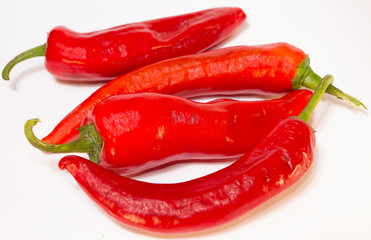 Hot red chili or chilli pepper isolated on white background