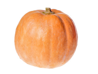 orange pumpkin isolated on white