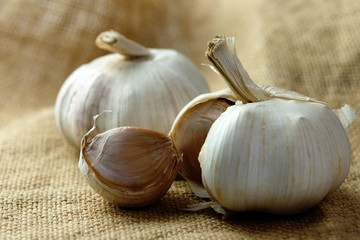 Garlic
