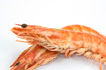 crevettes roses