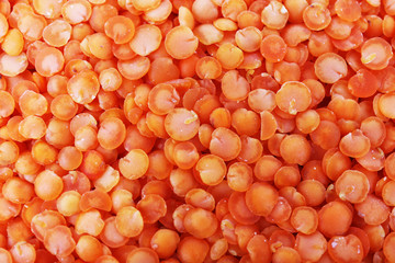Lentil as background