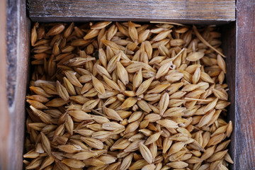 Oat in wooden box closeup