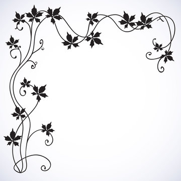 Floral background with a vine.