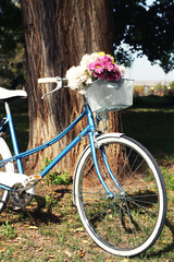 Fototapeta na wymiar Bicycle with flowers in metal basket on park background