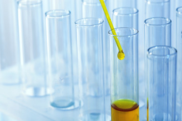 Test tubes on gray background