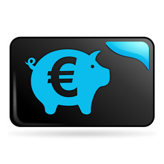 épargne euro sur bouton web rectangle bleu