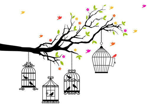 free birds and birdcages, vector illustration