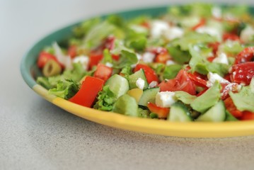 Tasty Greek Salad with feta