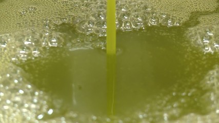 Raccolta olive