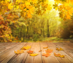 Naklejka na ściany i meble autumn forest background