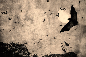 Fototapeta premium halloween background
