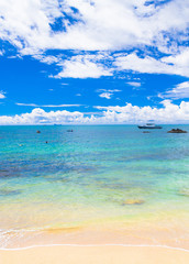 In a Sunny Paradise On a Beach