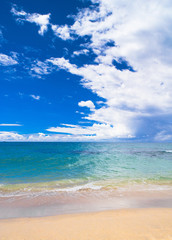 Sunshine Surf On a Beach