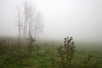 Fototapeta na wymiar Gloomy, depressive, dark day by autumn in countryside.