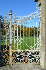 Belle grille en fer forgé