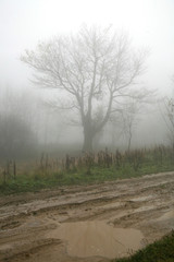 Gloomy, depressive, dark day by autumn in countryside.