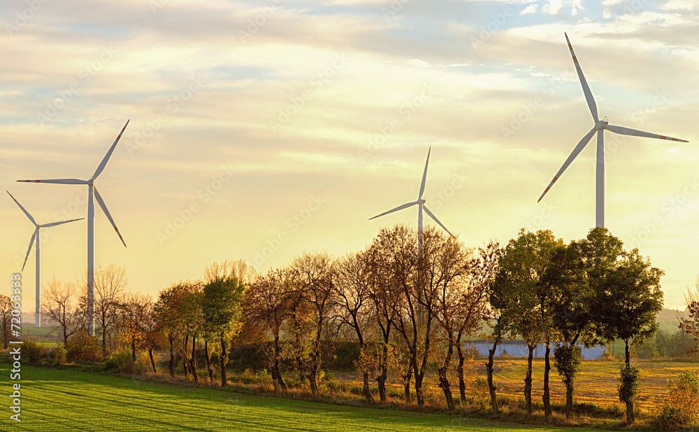 Wall mural windmills