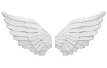 Fototapeta na wymiar the angel's wings