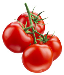 Tomato. Branch isolated on white. With clipping path