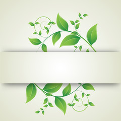 green leaves curls