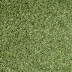 Green grass soccer field texture and background