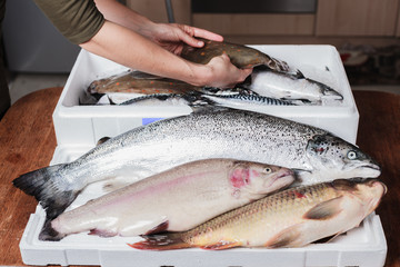 Woman with a box of fish in her kitchen