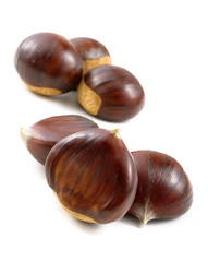 chestnuts on white background