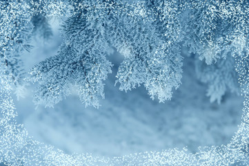 Christmas background, frame snow-covered tree