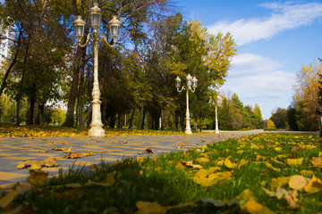Obraz premium Autumn city park - Stock photos