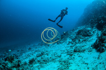 Diver,wire coral in Gili, Lombok, Nusa Tenggara Barat underwater