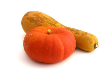 Courge