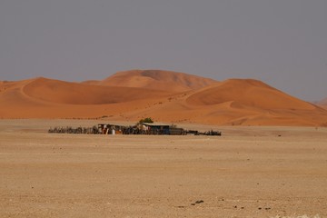 Gehöft der Topnaar vor den Dünen der Namib-Wüste