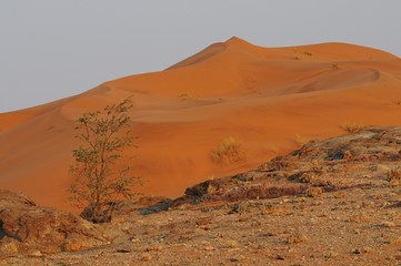 Fototapeta na wymiar Stationsdüne von Gobabeb in der Namib
