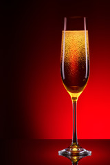 luxury glass of champagne