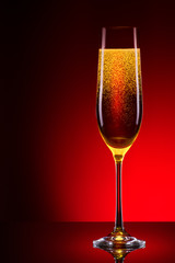 luxury glass of champagne