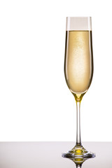 luxury glass of champagne