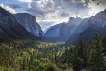 Fototapeta premium El Capitan, Yosemite national park, California, usa