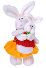 Two rabbits mother and child