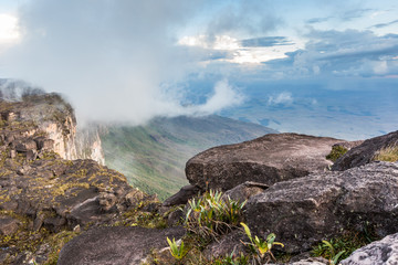 View from the plateau Roraima to Gran Sabana region - Venezuela