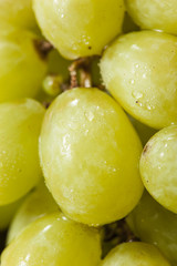Organic Raw Green Grapes