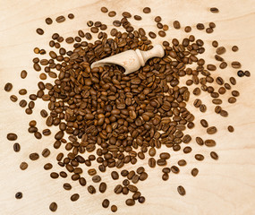 coffee seeds with wooden shovel on wood background