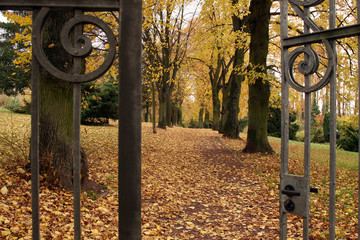 Herbst im Park © Jürgen Manz