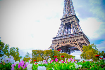 Spring morning with Eiffel Tower and flowers , Paris, France