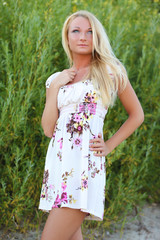 Fototapeta premium sexy young woman in dress in the grass