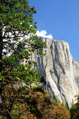 Yosemite national park. California. USA.