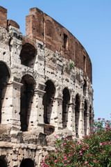 Fototapeta premium Colosseum in Rome, Italy