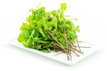 Fresh mint leaves on white background