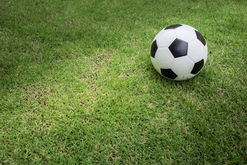 soccer ball on green grass