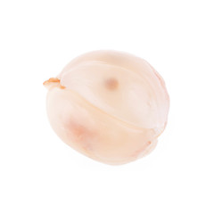 longkong tropical fruit isolated on white background