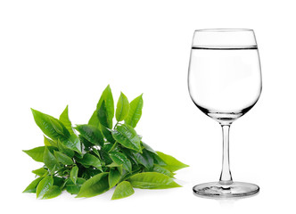 Glass of water and tea leaves ilsolated on white background